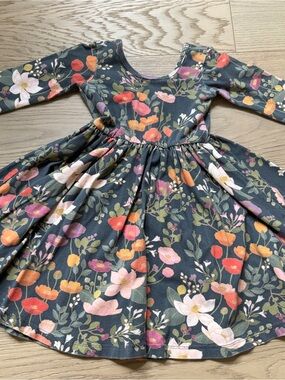 Alice and Ames dress 4T